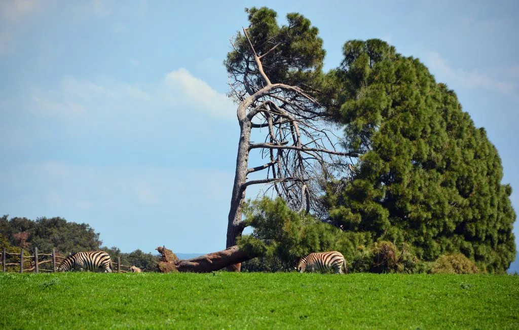 Brijuni National Park
