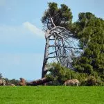 Brijuni National Park