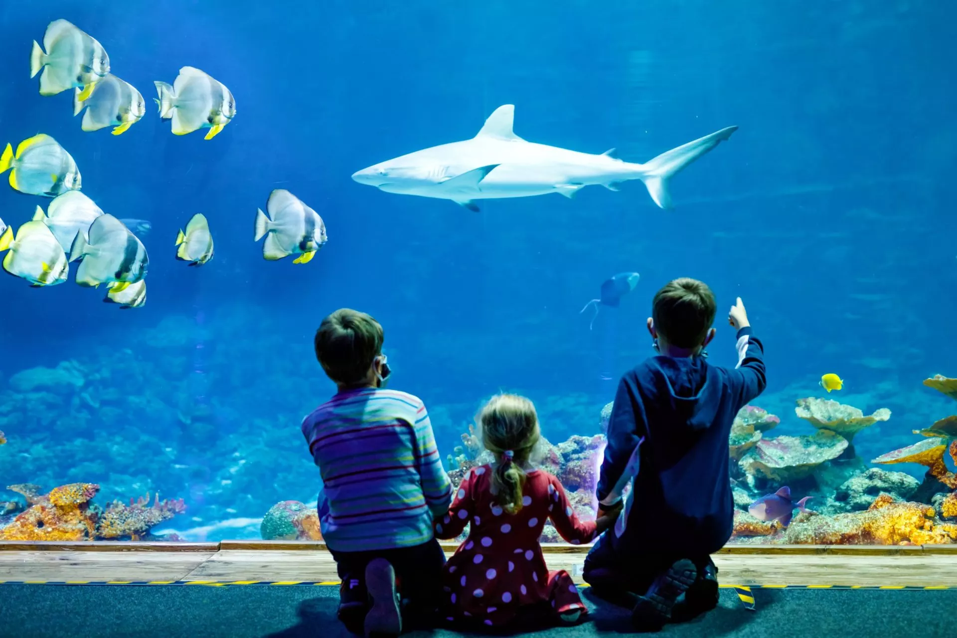 Family visit to the aquarium