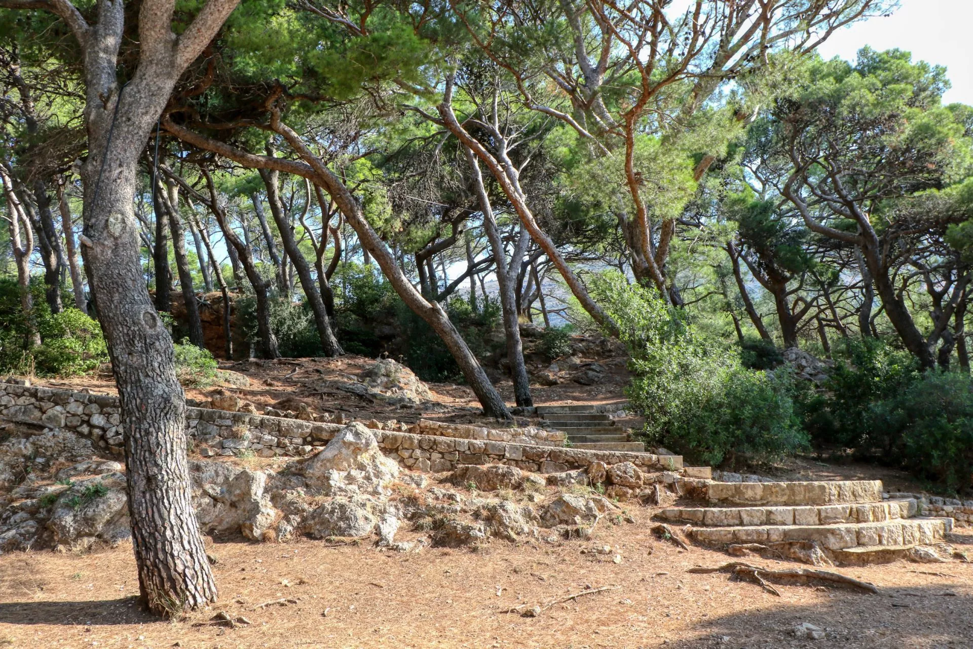 Gradac park oasis