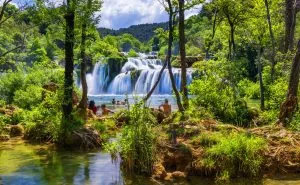 Simmare i nationalparken Krka