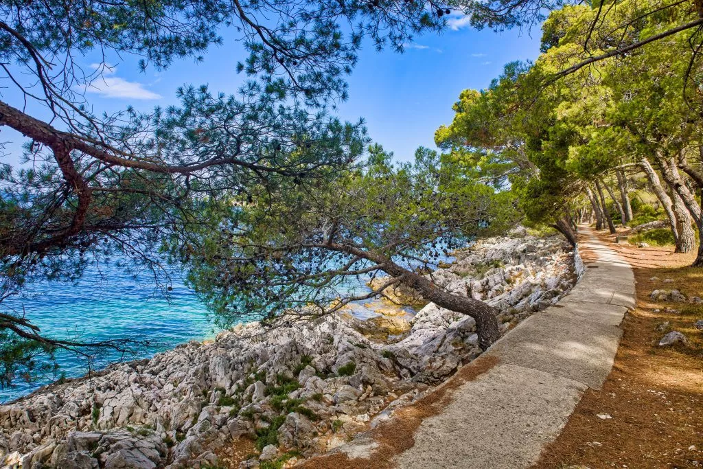 Losinj island
