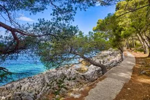 Losinj island