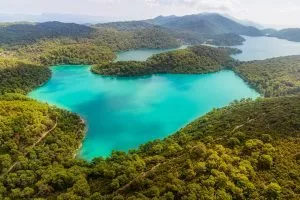 Mljet från ovan