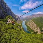Kul med zipline